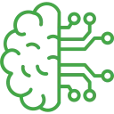 brain