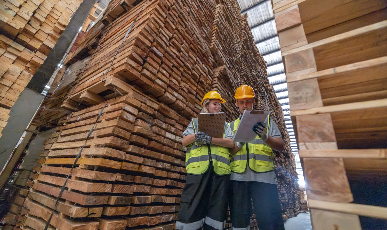 woodworkers-track-co2-emissions-aim-to-go-carbon